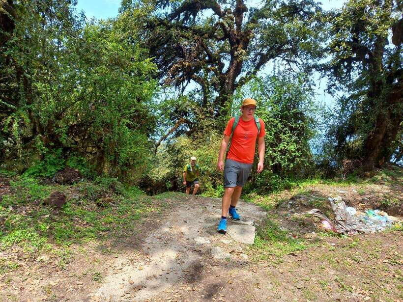 Kathmandu: Shivapuri Day Hike with Lunch - Why Shivapuri Peak Is The Best One-Day Hike From Kathmandu
