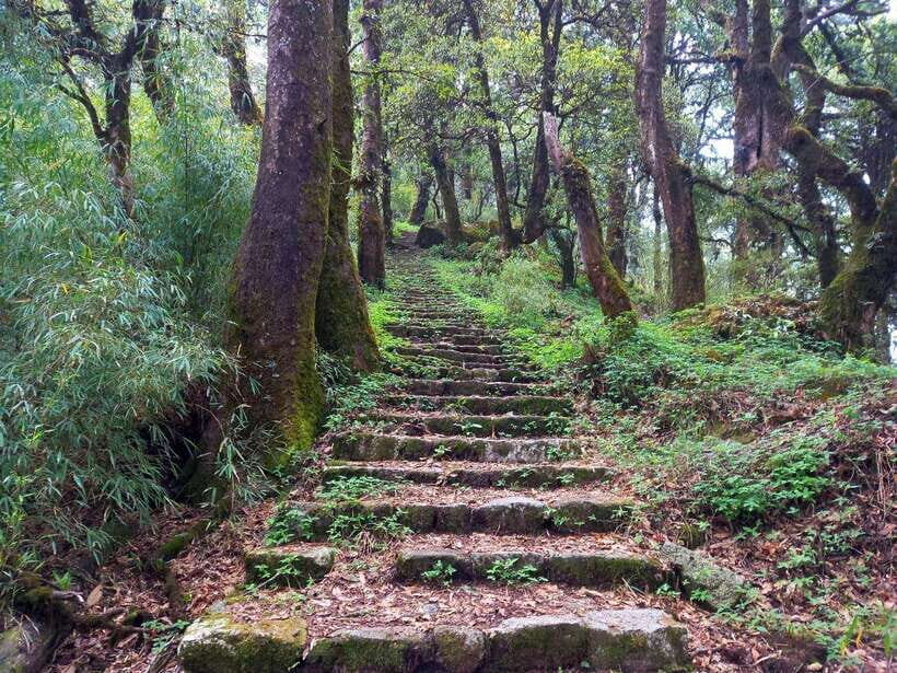 Kathmandu: Shivapuri Day Hike with Lunch - How Much Time You Really Spend Hiking