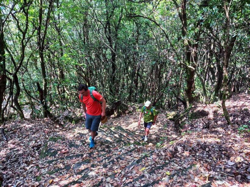 Kathmandu: Shivapuri Day Hike with Lunch - Lunch at the Top: What’s Included and How to Plan for Your Appetite