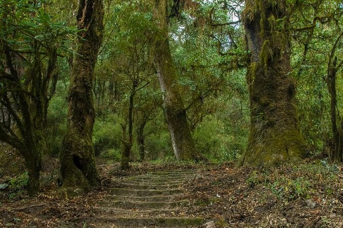 Kathmandu Shivapuri National Park and Nagarkot Hiking - 3 Days - Mountain Views: What You Can Expect to See (and When)