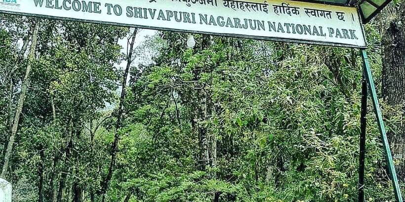 Kathmandu: Shivapuri National park Day Hiking - Price and Value: What $49 Covers and What You Still Pay