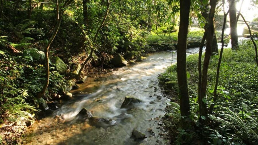 Kathmandu: Shivapuri National Park Hiking Day Trip - Price and Value: What $61 Buys You in the Real World