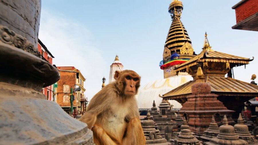 Kathmandu : Swambhunath & Durbar Square Guided Half Day Tour - Why Swambhunath and Durbar Square Work in One Half-Day