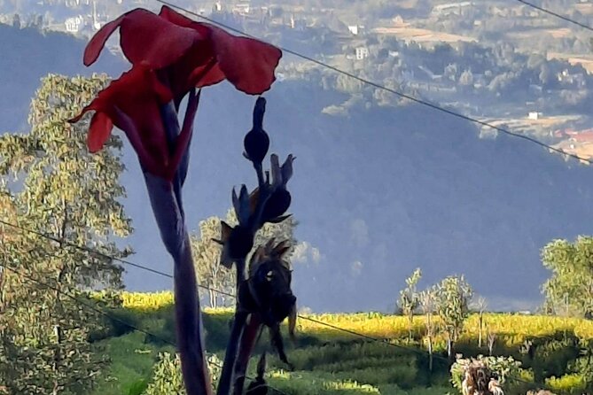 Nagarkot (2175m) Sunrise and Day Hike to Changunarayan Temple - The downhill hike to Changunarayan Temple (4–5 hours)