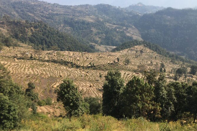 Nagarkot Full-Day Hiking Tour from Kathmandu - The hike route: villages, greenery, and jungle-green stretches