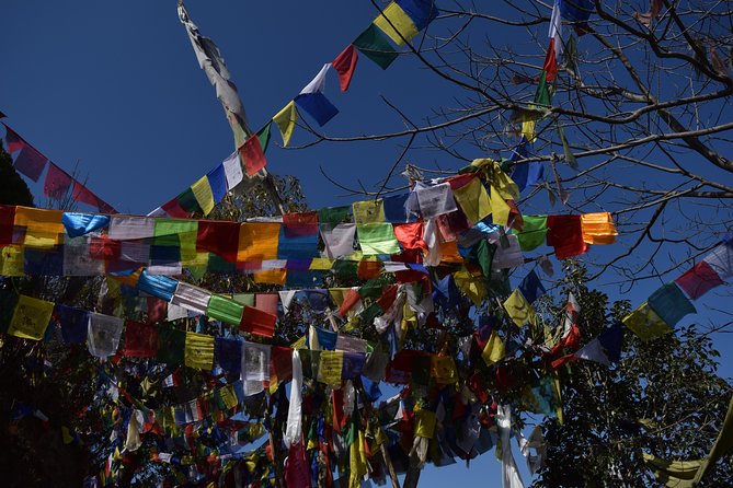 Namo Buddha and Thrangu Tashi Yangtse Monastery Half-Day Tour - Why Namo Buddha feels like a real escape