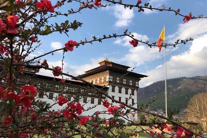 Nepal and Bhutan Tours - Day 3: fly to Paro and shift from Nepal’s streets to Bhutan’s calm