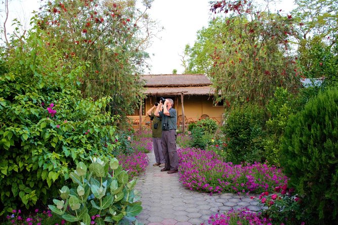 Nepal Birding - If your route includes Chitwan: Spiny Babblers and raptor spotting
