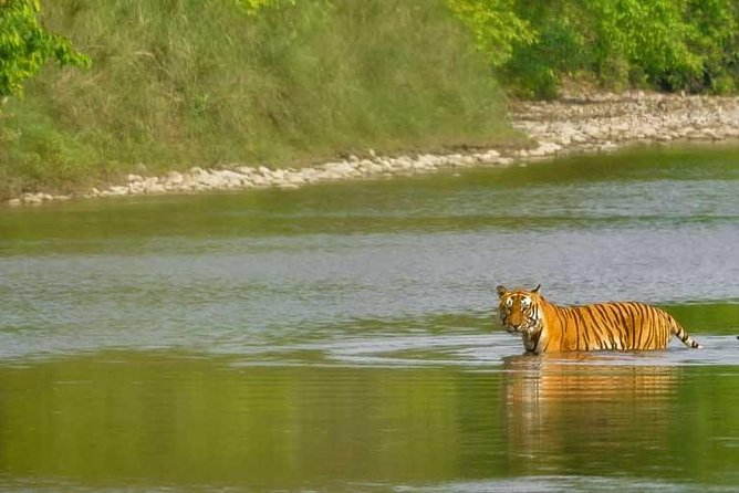 Nepal Classic Tour -12 Days - Bandipur, the Trishuli River drive, and your return to Kathmandu