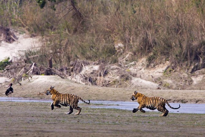 Nepal Classic Tour -12 Days - Chitwan National Park: Tharu culture, canoe time, and jeep safari