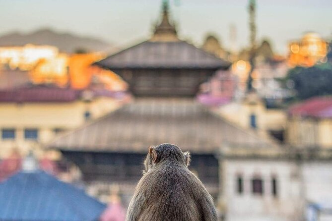PashupatiNath and BoudhaNath - Private/Small Group - Gorakhnath Mandir, Guhyeshwari, and the Road Toward Boudhanath
