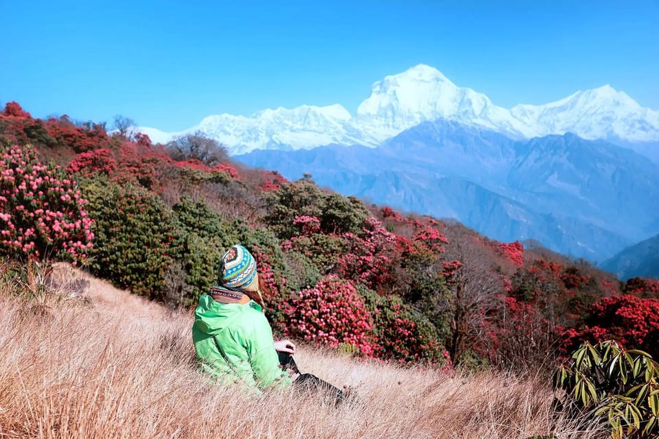 Pokhara: 2 Day Ghorepani & Poon Hill Private Trekking - Key points to know before you go