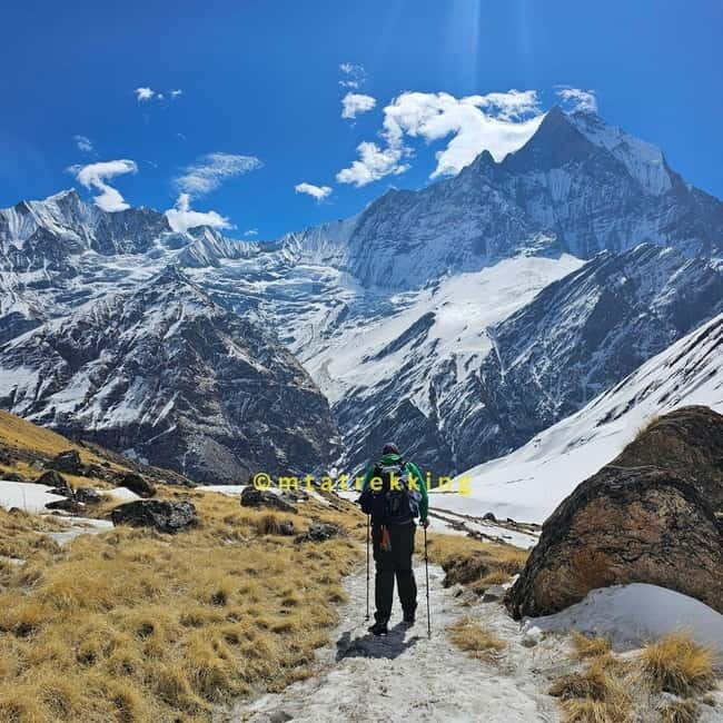 Pokhara: 5-Day Annapurna Base Camp (ABC) Trek - Day 5: Bamboo back to Pokhara, with Jhinu hot springs as an option