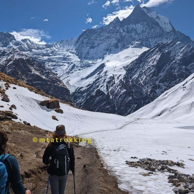 Pokhara: 5-Day Annapurna Base Camp (ABC) Trek - Guides, tea houses, and meals: where the value really shows