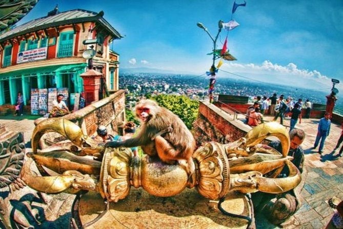 Private Half-Day Tour of Kathmandu Durbar Square and Swayambhunath Temple - The Private Driver and Guide: How the 4 Hours Actually Feel