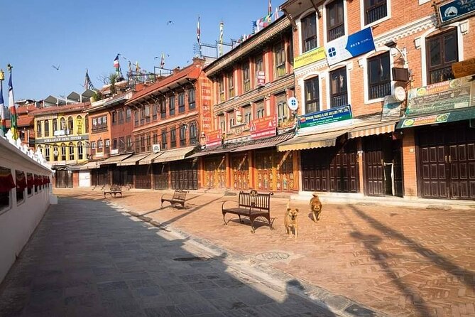 Private Tour of 4 UNESCO Heritage Sites in Kathmandu by Car - Price and ticket value: where the math makes sense